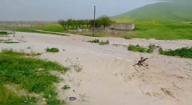 Güneşli havada şiddetli yağmur