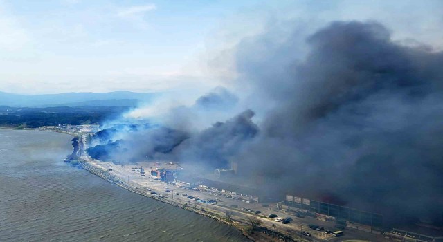 Güney Korede orman yangını: 300 kişi tahliye edildi