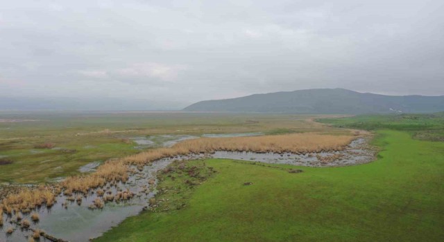 Güroymakta kaçak avcılığa drone ile denetim