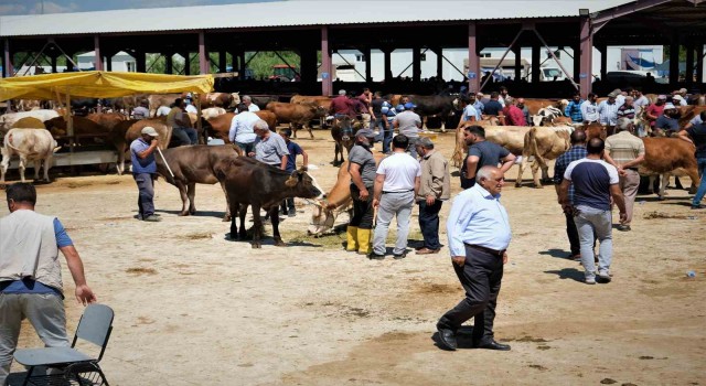 Hayvan hareketleri kısıtlaması 28 Nisanda son buluyor