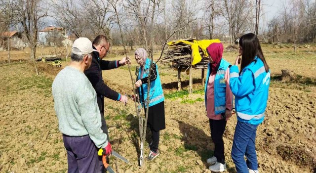 Hisarcıkta çiftçilere meyve ağaçlarında budama teknikleri eğitimi