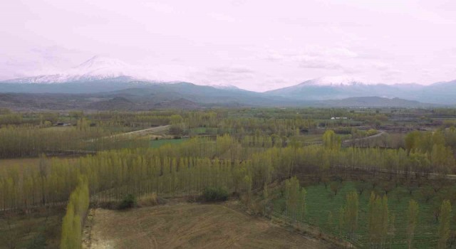 Iğdırda kış ve bahar ayı bir arada
