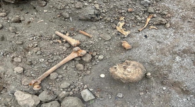 İnsan kemikleri çıktığı için durdurulan inşaat kazı çalışması tekrar başladı