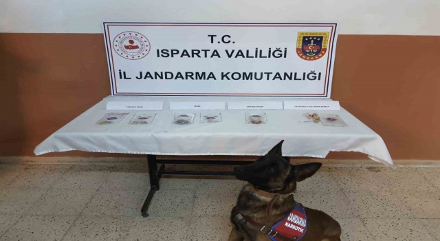 Ispartada uyuşturucu operasyonlarında 15 kişi tutuklandı