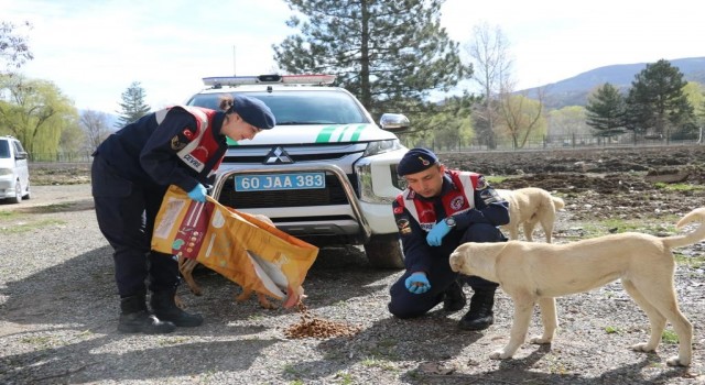 Jandarma ve çocuklardan anlamlı etkinlik
