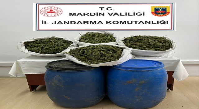 Jandarmadan zehir tacirlerine operasyon: 28 buçuk kilo esrar ele geçirildi