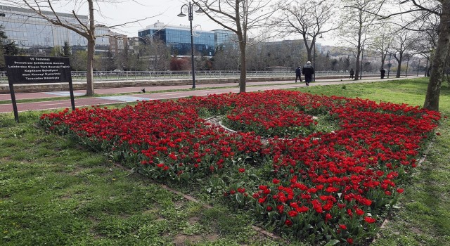 Kağıthanede lale mevsimi başladı