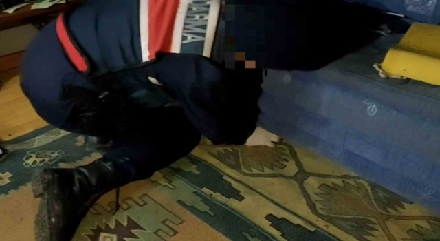 Kaput kanepeye gizlenmiş uyuşturucu tespit etti