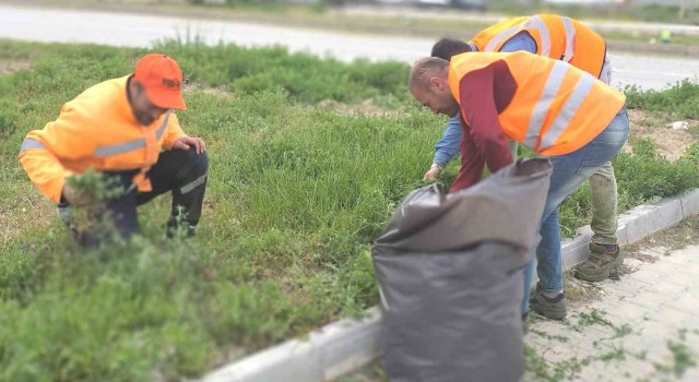 Karayolları çevresinde yabani ot temizliği