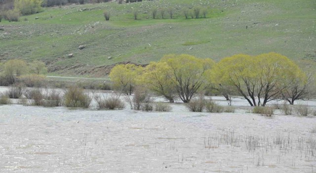 Karsta ağaçlar baraj suları altında kaldı