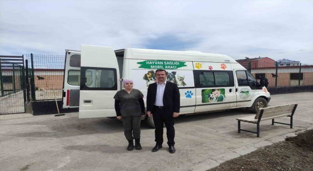 Karsta Sokak hayvanlarının tedavileri yapılıyor
