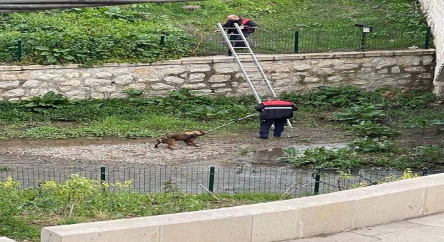 Kavakta yürek ısıtan operasyon