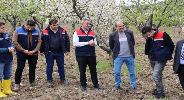 Kiraz bahçelerinde eğitim yapıldı