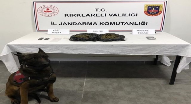Kırklarelide çeşitli suçlardan aranan 16 şüpheli yakalandı