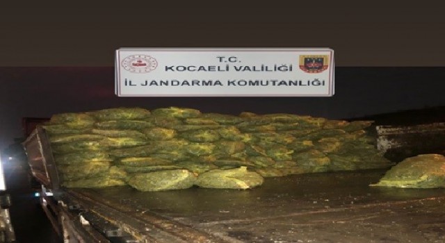 Kocaelide 10 ton kaçak midye ele geçirildi