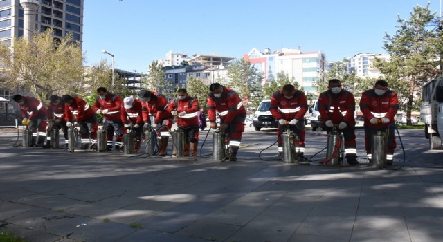 Kocasinanda yılın 12 ayında çevreci ve bilimsel yöntemlerle haşere mücadelesi