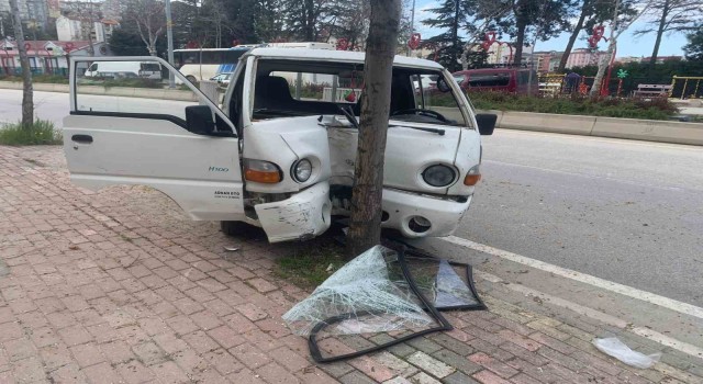 Kontrolden çıkan kamyonet ağaca çarparak durabildi