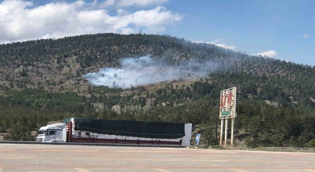 Konyada ormanlık alanda yangın başladı