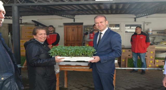 Köyceğizde Ata tohumu fidesi dağıtıldı