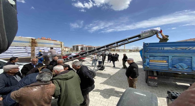 Kuluda çiftçilere 101 ton sertifikalı tohumluk yeşil mercimek dağıtıldı