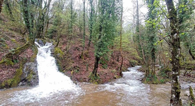 Kuraklık alarmı veren Kazdağlarından sevindiren görüntü