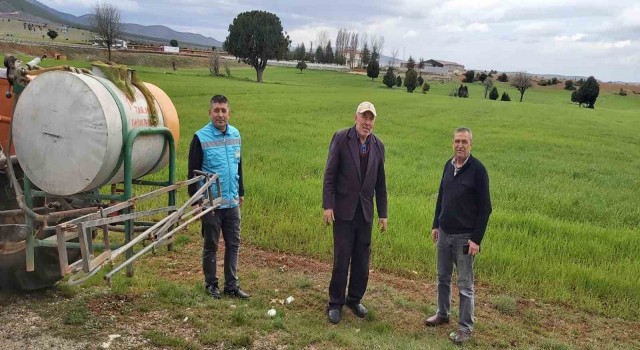 Kütahyada Zabrus zararlısı ile zirai mücadele çalışmaları