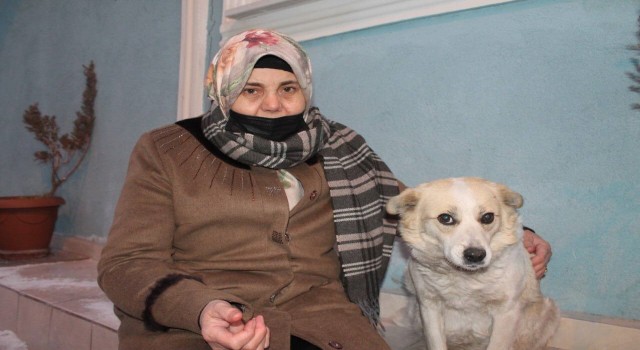 Mahallenin maskotu Çirkin alkış sesi duyunca oynamaya başlıyor