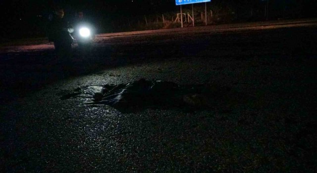 Malatyada tırın çarptığı yaya hayatını kaybetti
