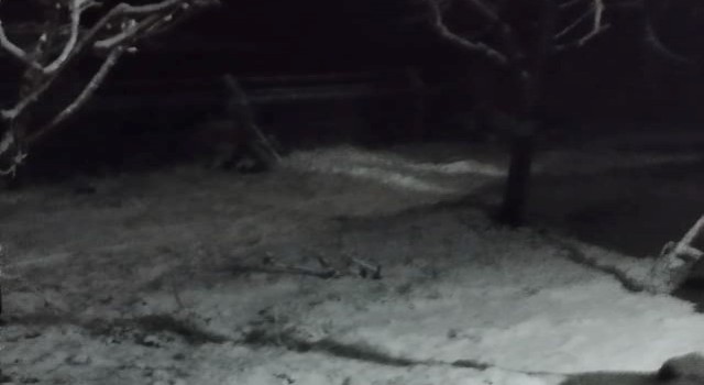 Malatyaya nisan ayı yağan kar şaşırttı