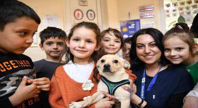 Mamakta Dünya Sokak Hayvanları Günü kutlandı