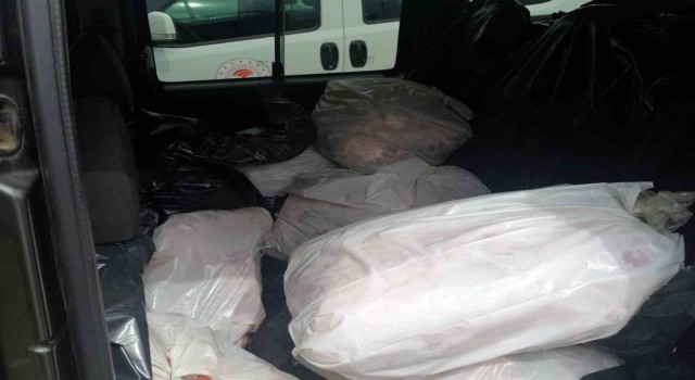 Menteşede 563 kilo kaçak et yakalandı