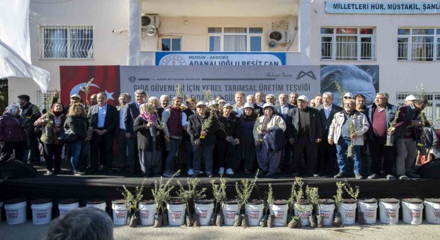 Mersinde çiftçiye zeytin fidanı ve organik sıvı gübre desteği