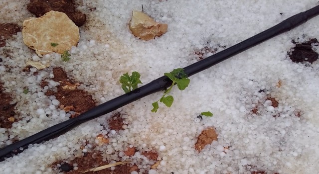 Mersinde dolu yağışı etkili oldu