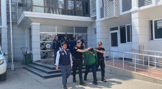 Mersinde sazan sarmalı yöntemi: Milyonlarca lira dolandırmışlar