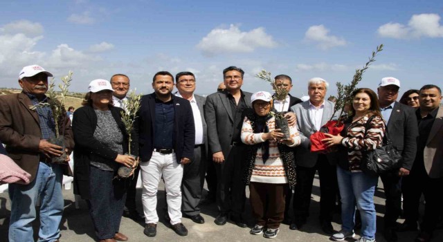 Mersinde üreticilere 11 bin 100 adet zeytin fidanı desteği sağlandı