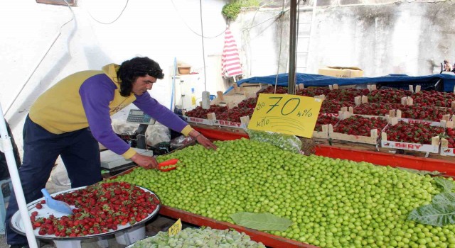 Mevsimin vazgeçilmezi erik, tezgahta 70 liradan satılıyor
