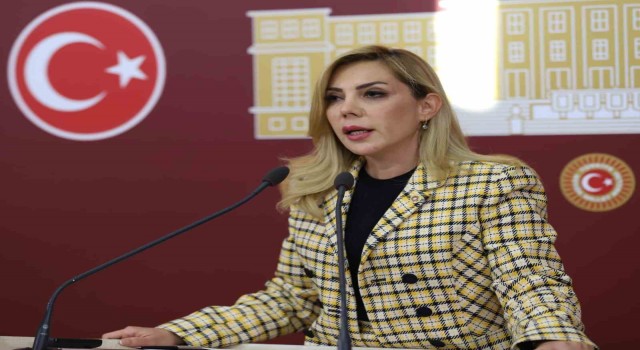 Milletvekili Gökcan: “Söz değil, eser ürettik”