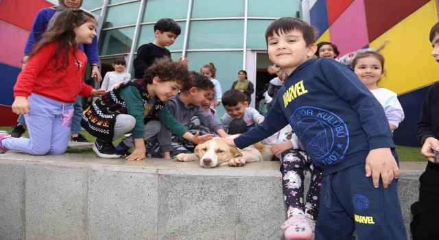 Minikler hayvanlar için geri dönüşüm malzemelerinden mama kapları yaptı