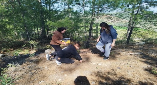 Muğlada tohum bombaları toprakla buluştu