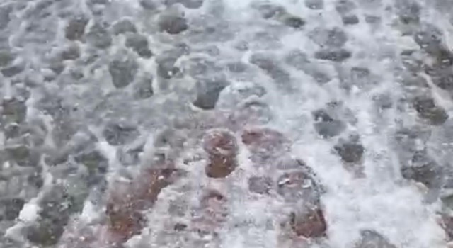 Nisan ayında kış geri geldi