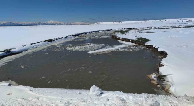 Öğretim Üyesi Akkuş: Bugünlerde yağan karın kuraklığı bir nebze olsun hafifletmesini ümit ediyoruz