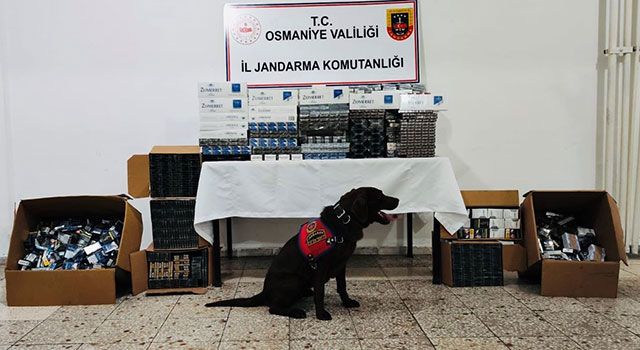 Osmaniye'de Evde yapılan aramada kaçak sigara ele geçirildi