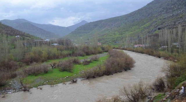 Sağanak yağışlar Habur Çayının debisini yükselti