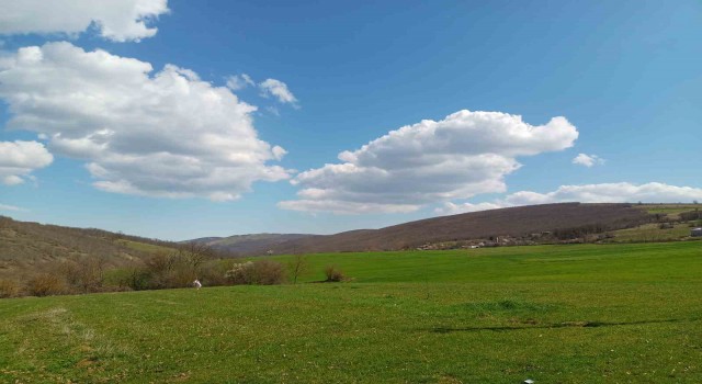 Sakin, huzurlu bir hayat ve evlilik kalp hastalıklarından koruyor
