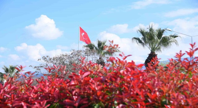 Salihlide çiçekler rengarenk görüntüleriyle çevreye güzellik katıyor
