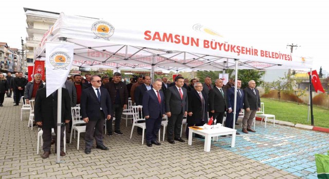 Samsunda çiftçilere silajlık mısır desteği
