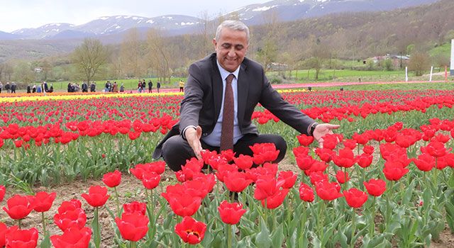 Samsun'un kartpostallık lale bahçeleri gelir kapısı olacak