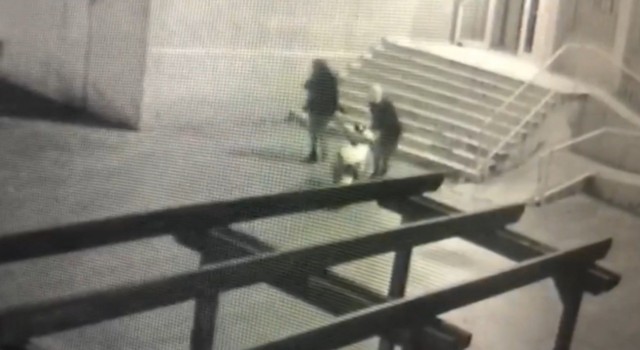 Şanlıurfada motosiklet hırsızlığı kamerada