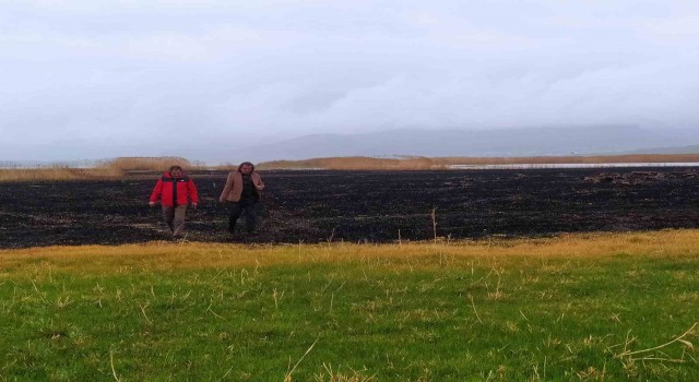 Sazlık yangınları ekolojik dengeyi bozuyor