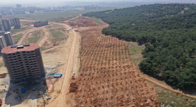 Şehitkamilde 26. orman için hazırlıklar tamamlandı